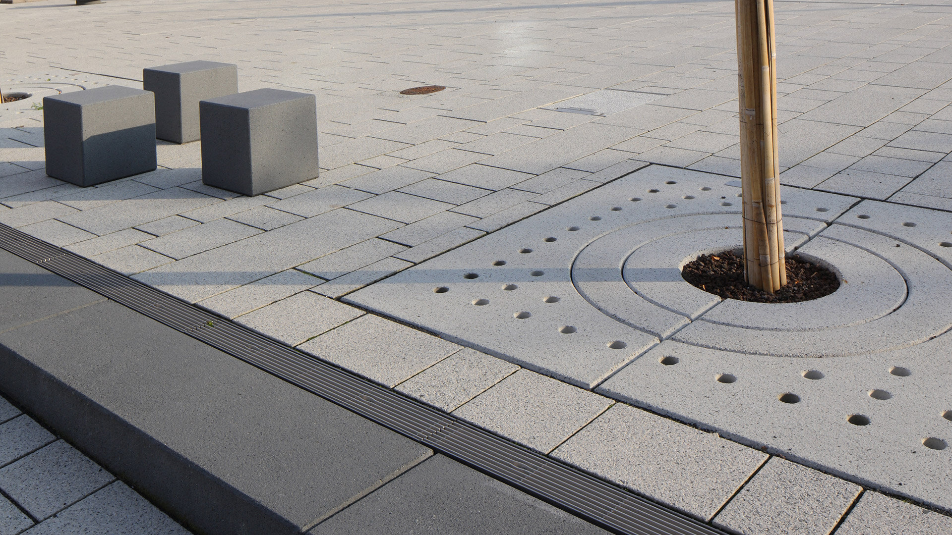 Detailansicht einer Arbovit Baumscheibe aus Beton mit integriertem Baumschutz und hochwertiger Pflastergestaltung.