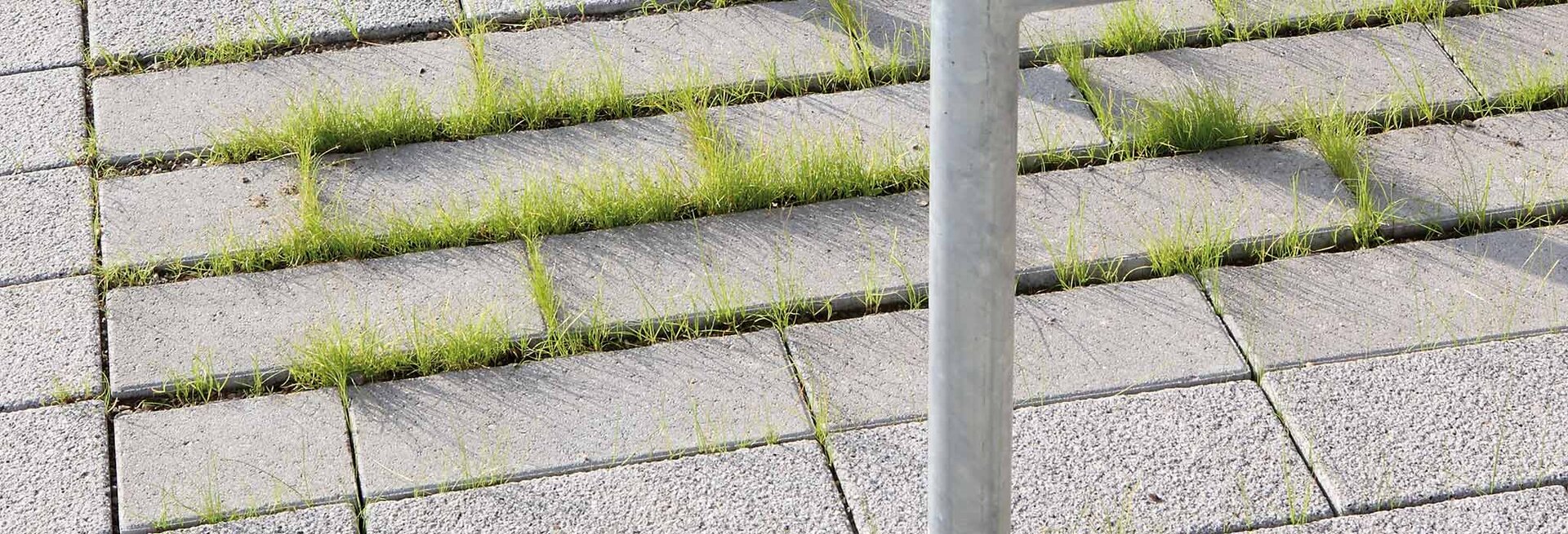Begrünbare Verkehrs- und Stellplatzflächen mit Vista Green Pflaster im Wohnumfeld
