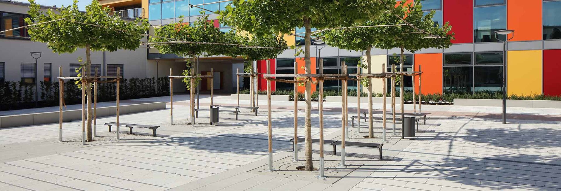 Mehrere Stadtbäume mit Arbovit Baumscheiben auf einer modernen Platzfläche vor einem zeitgemäßen Gebäudekomplex.