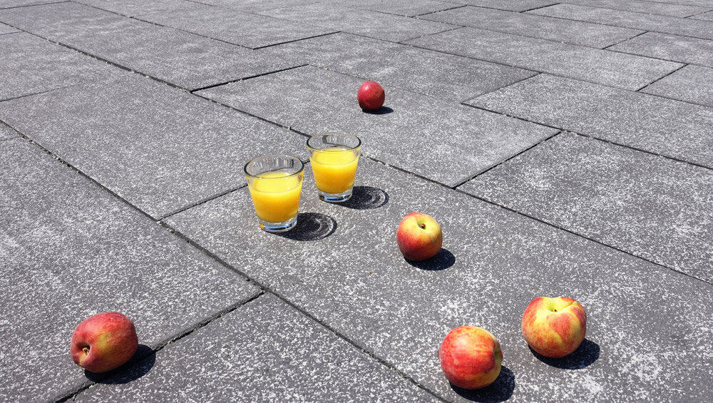 Ambientbild einer Terrasse mit Nuanza Platten opal anthrazit