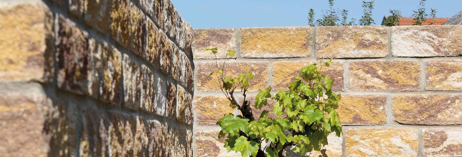 Slider Bild der Mauer Vino Mur in der Mischfarbe sahara braun
