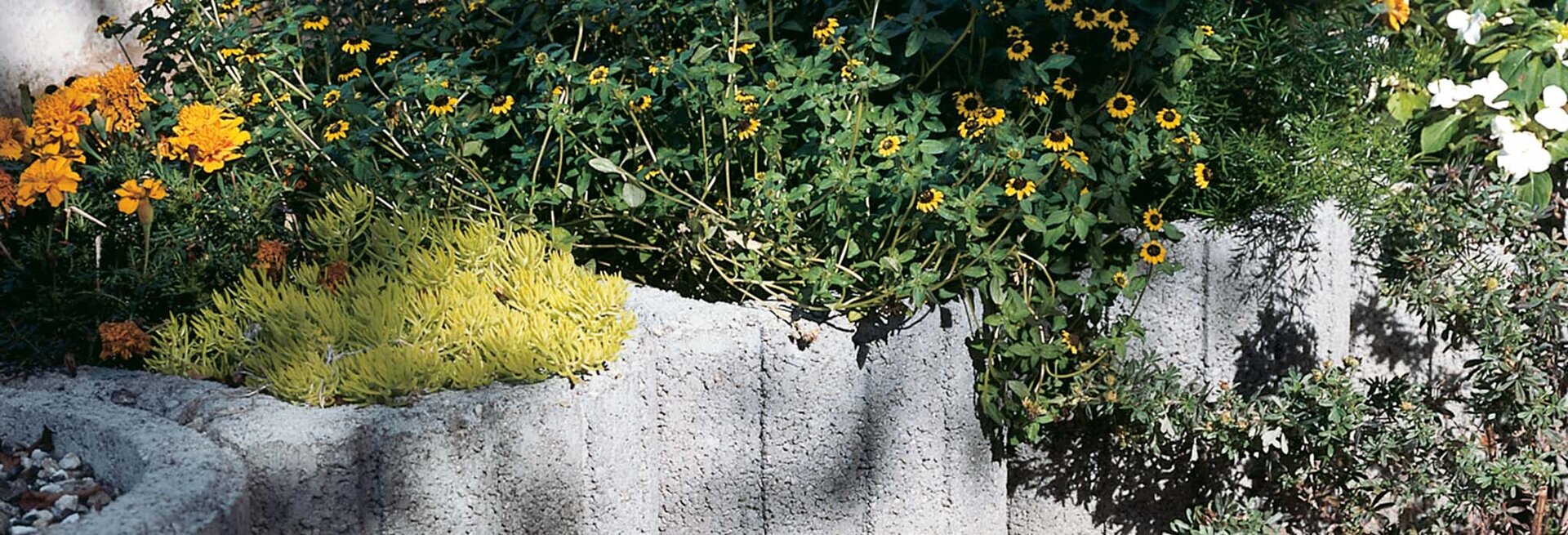 Slider Bild einer Gartengestaltung mit Florwall grau
