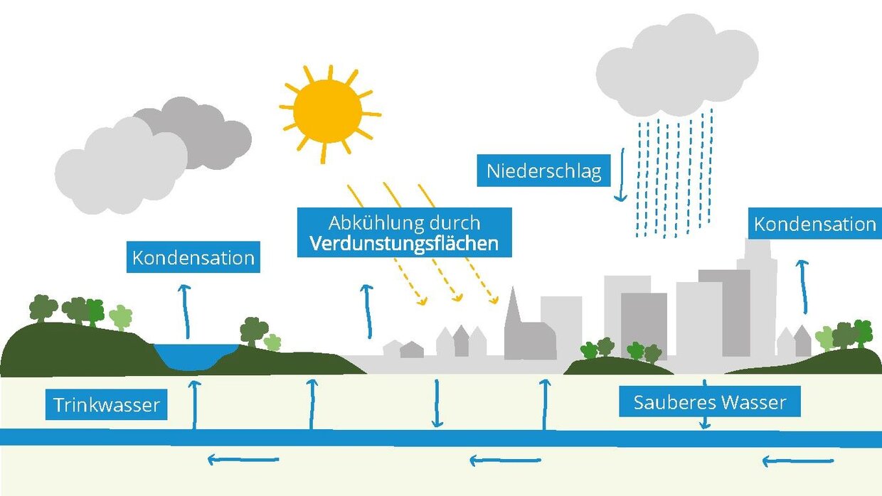 Natürlicher Wasserkreislauf Ein idealer Wasserkreislauf wird mit Lithon GeoClean unterstützt und gefördert.